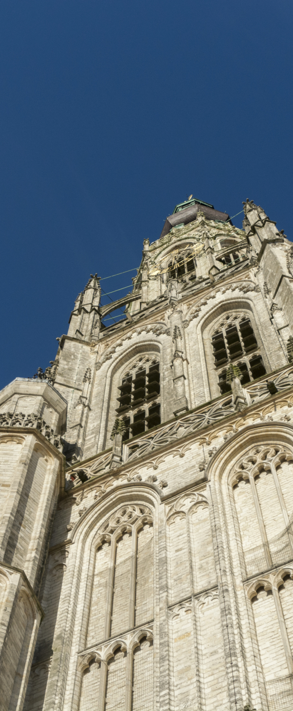 Restauratie Grote Kerk Breda 171117_780.jpg