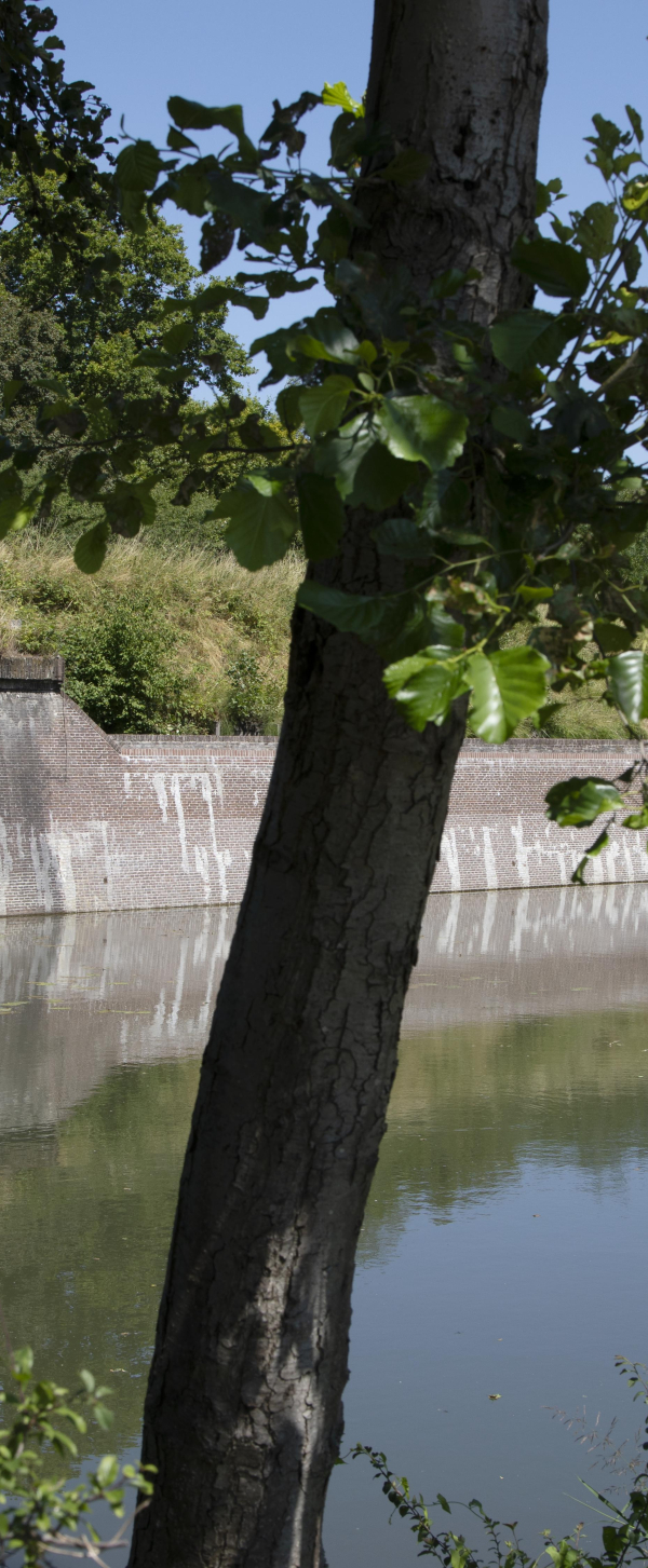 lunetten 07-2023 (46).jpg