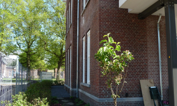 P1000544.JPG