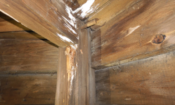 DSCN3817.JPG