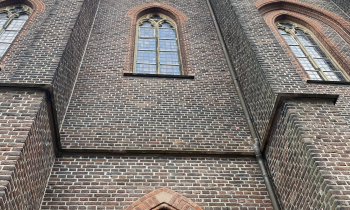 IMG_9162.JPEG