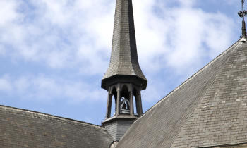 de vieringtoren, zegge (11).jpg